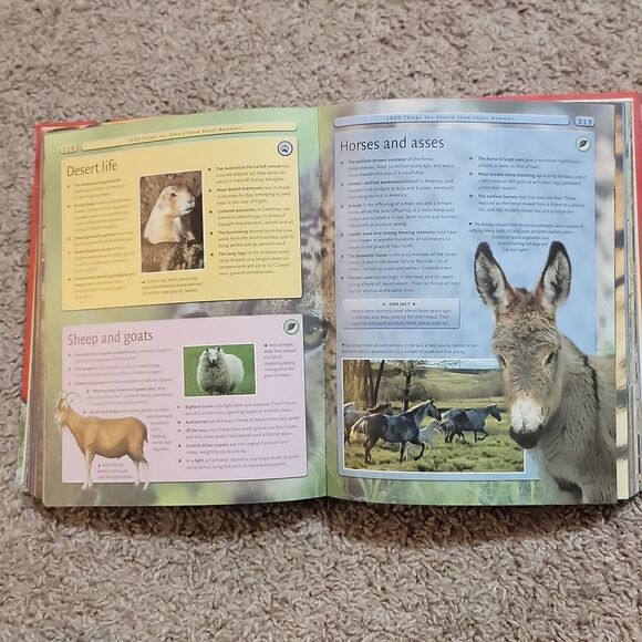 8000 Awesome Things You Should Know Book • Educational Learning - Picture 6 of 9